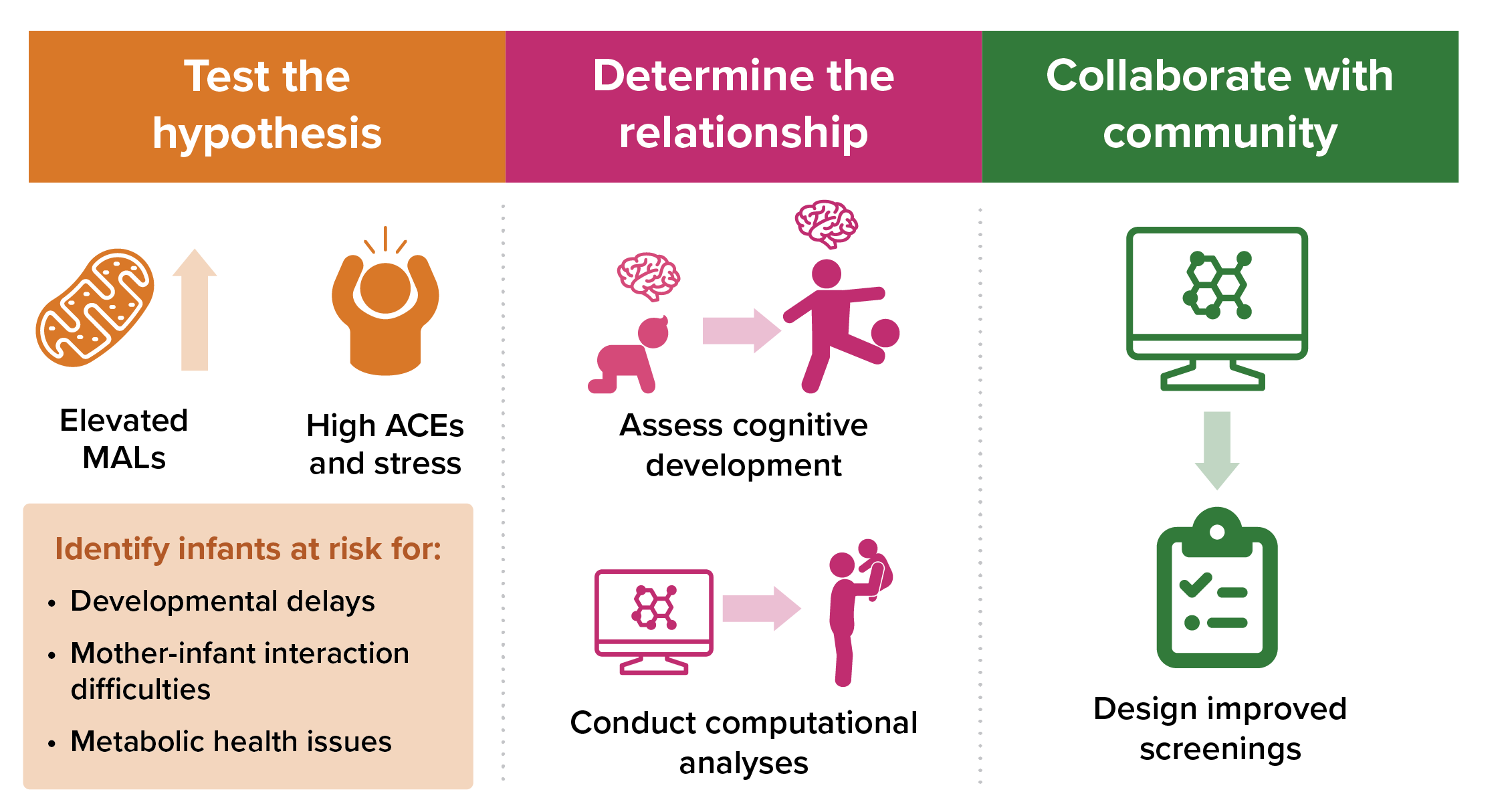 This graphic describes the project goals. The goals are to identify infants at risk for toxic stress by screening for an elevated metabolic biomarker known as mitochondrial allostatic load, determine if there is a relationship between toxic stress and cognitive development, and design improved screening tools based on these findings.