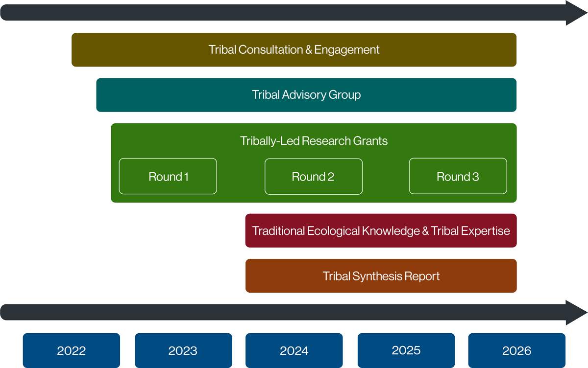 Graphic showing Tribal Research Program timeline. Tribal Consultation and Engagement from mid 2022 to mid 2026.  Tribal Advisory Group from late 2022 to mid 2026.  Tribally-Led Research Grants with three Rounds with Round 1 in 2023, Round 2 from 2024 to early 2025, and Round 3 from mid 2025 to mid 2026.  Traditional Ecological Knowledge and Tribal Expertise from 2024 to mid 2026.  Tribal Synthesis Report from 2024 to mid 2026.